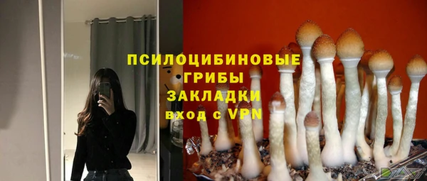 индика Кинешма