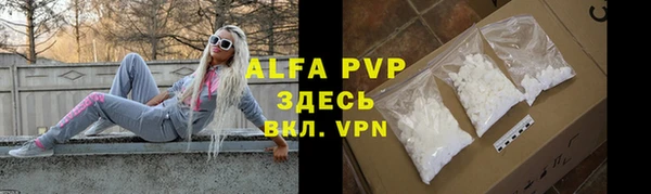 индика Кинешма