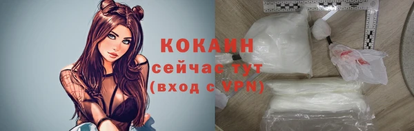 индика Кинешма