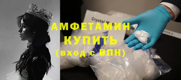 индика Кинешма