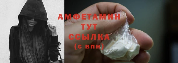 ПСИЛОЦИБИНОВЫЕ ГРИБЫ Козловка
