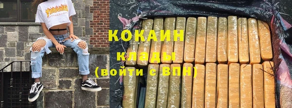 индика Кинешма