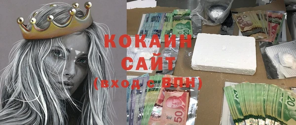 ПСИЛОЦИБИНОВЫЕ ГРИБЫ Козловка