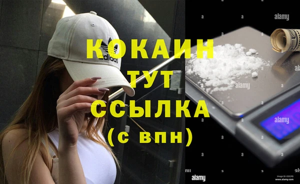 стаф Щёлкино