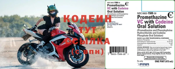 ПСИЛОЦИБИНОВЫЕ ГРИБЫ Козловка