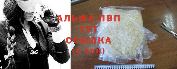 ПСИЛОЦИБИНОВЫЕ ГРИБЫ Козловка
