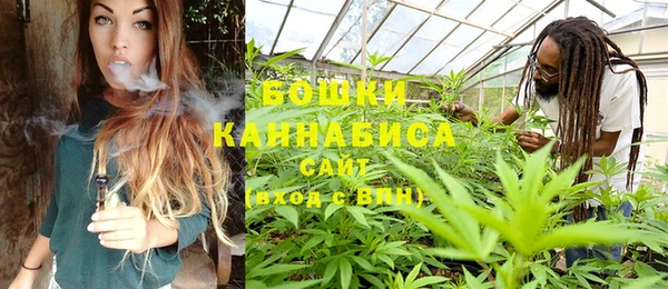 ПСИЛОЦИБИНОВЫЕ ГРИБЫ Козловка