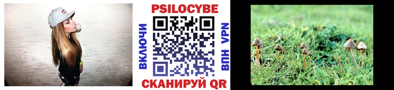 Купить  Корсаков  Псилоцибиновые грибы прущие грибы 